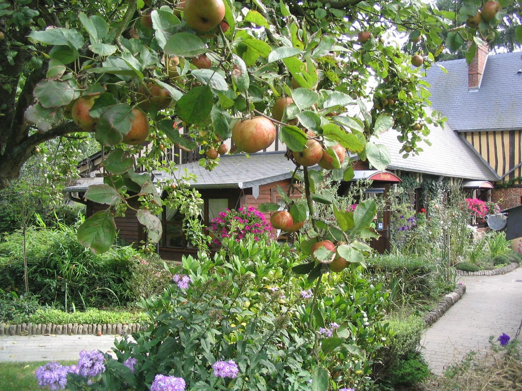 Auberge Du Val Au Cesne Saint-Clair-sur-les-Monts Eksteriør billede